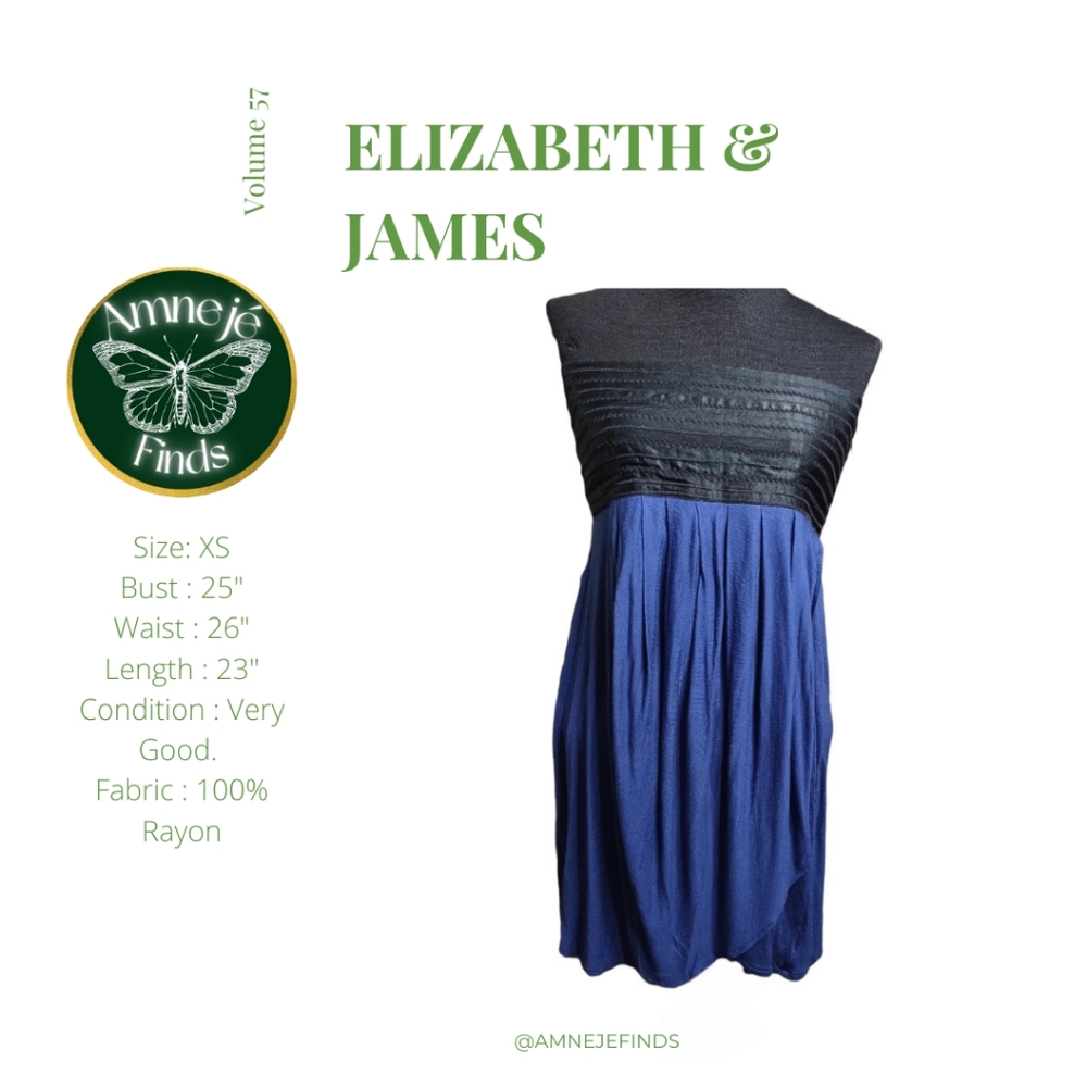 Elizabeth and James Blue Strapless Tunic XS